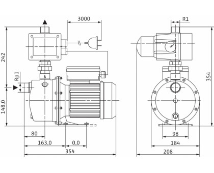 Насосная станция FWJ 203 EM/2 без бака [h=43 м, Q=4.5 м³/ч]