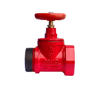 Клапан пожарный чуг Ду50 Ру16 ВР/НР Апогей КПЧП 50-1 110033