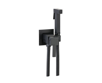 Смеситель c гигиеническим душем встраиваемый RUSH Thira TR3635-99Black Смеситель c гигиеническим душем встраиваемый RUSH Thira TR3635-99Black