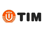 Коллекторная группа TIM