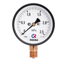 Манометр TM-510P Ду 100 с нижним подключением (150°) 1/2", 0- 6 бар TM-510P.0406
