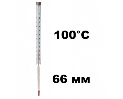 Термометр жидкост. 100С (ножка 66)
