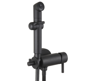 Смеситель Lemark Solo LM7172GM с гигиеническим душем, встраиваемый